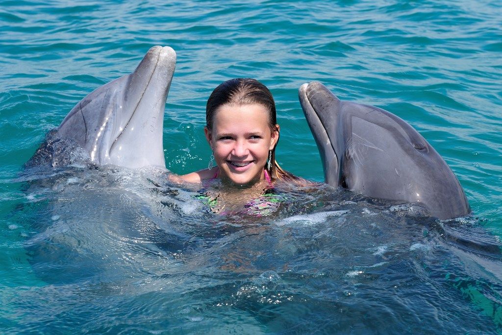 Séjour Multi-activités Bahamas : nager avec les requins / adopter un dauphin
