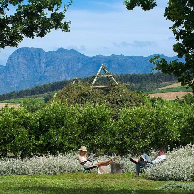 Babylonstoren's Farm Hotel - Région du Cap - Afrique du Sud