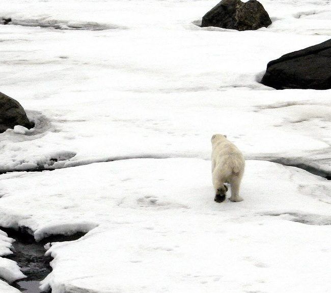 Voyage au Canada - Québec - Nunavik