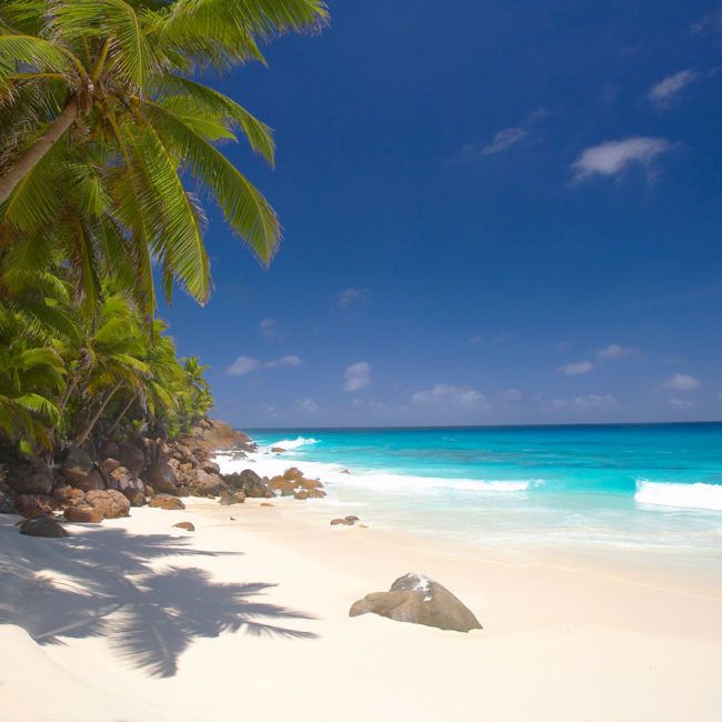 Fregate Island Private - Seychelles
