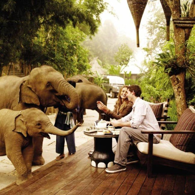 Four Seasons Golden Triangle - Thaïlande