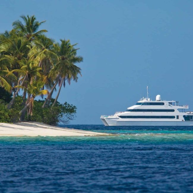 Plongée aux Maldives sur l'Explorer!