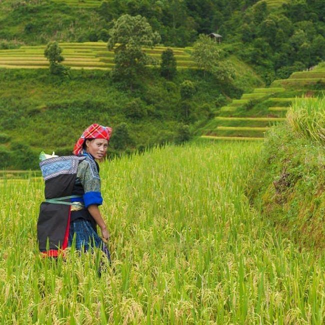 Rencontre avec les ethnies des montagnes - Laos