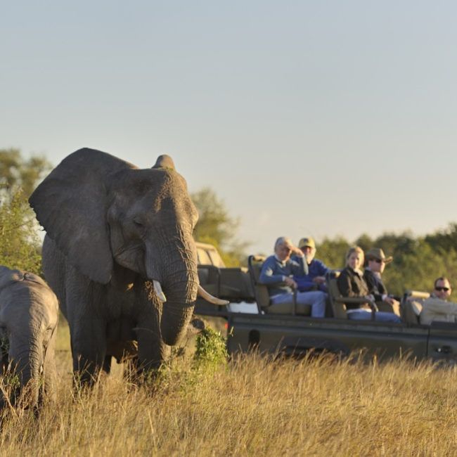 L’Afrique du Sud en famille