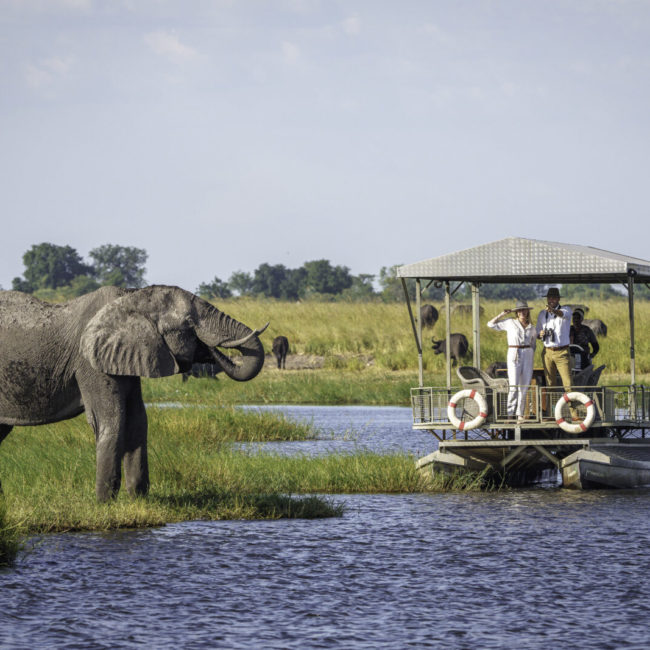 CHOBE GAME LODGE