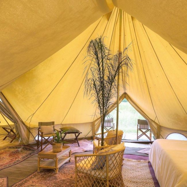 FELINE FIELDS VINTAGE CAMP