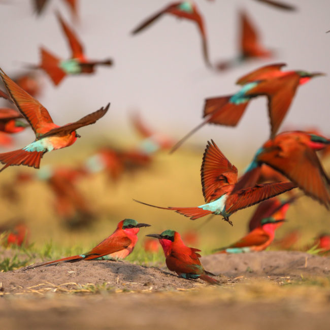 NXAMASERI ISLAND LODGE