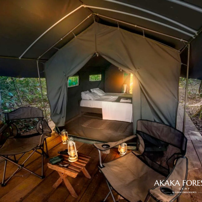 AKAKA FOREST CAMP