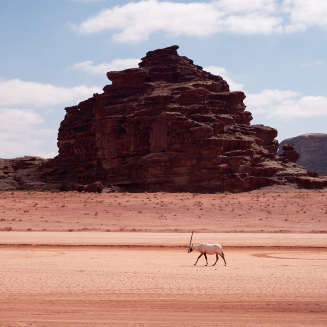 WADI DISAH & DÉSERT DE HISMA