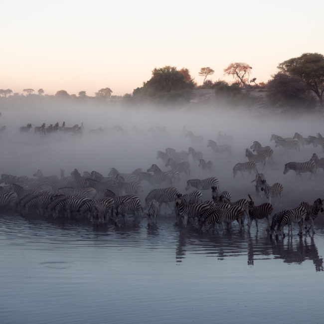 ESCAPADE DANS LE MAKGADIKGADI PANS NATIONAL PARK