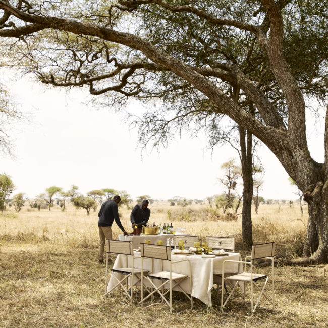 OUT OF AFRICA LEGEND BY LABA EXPLORER - PARC NATIONAL DU SERENGETI