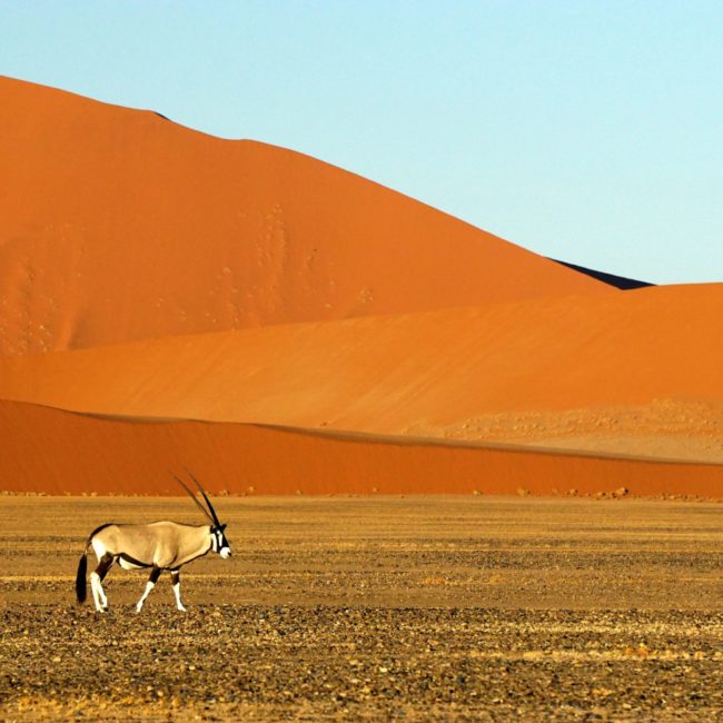 Aux origines du monde