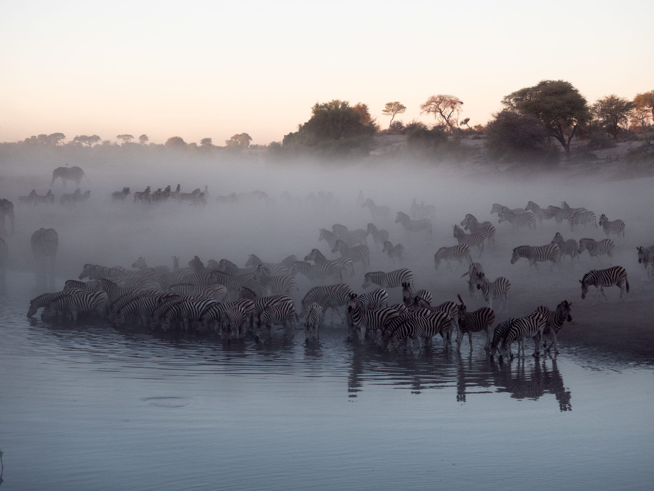 ESCAPADE DANS LE MAKGADIKGADI PANS NATIONAL PARK