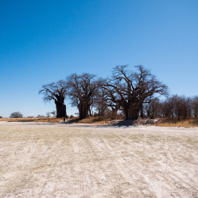 ESCAPADE DANS LE NXAI PAN NATIONAL PARK