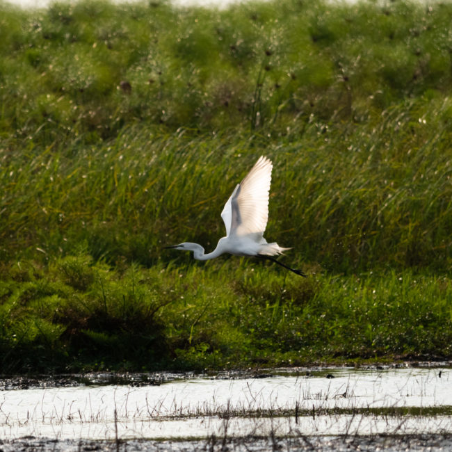 ESCAPADE SUR LA RIVIERE AKAKA